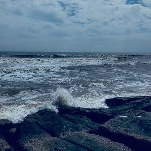 Meet your Posher, Queen 🐝